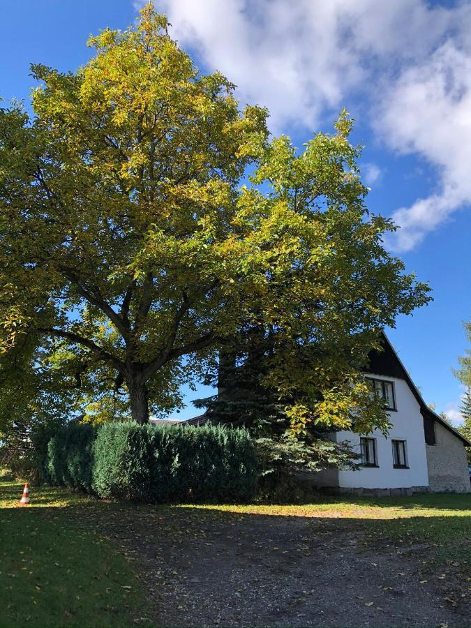 Utulna Chaloupka V Krkonosich Villa Vysoké nad Jizerou Dış mekan fotoğraf